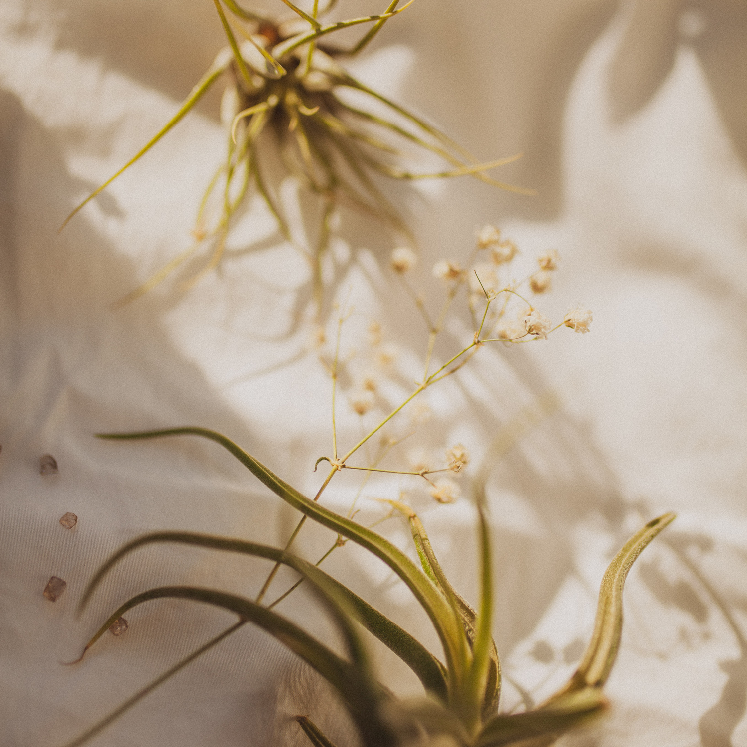 Why A Business Consultant Encourages Social Proof in Social Media Marketing